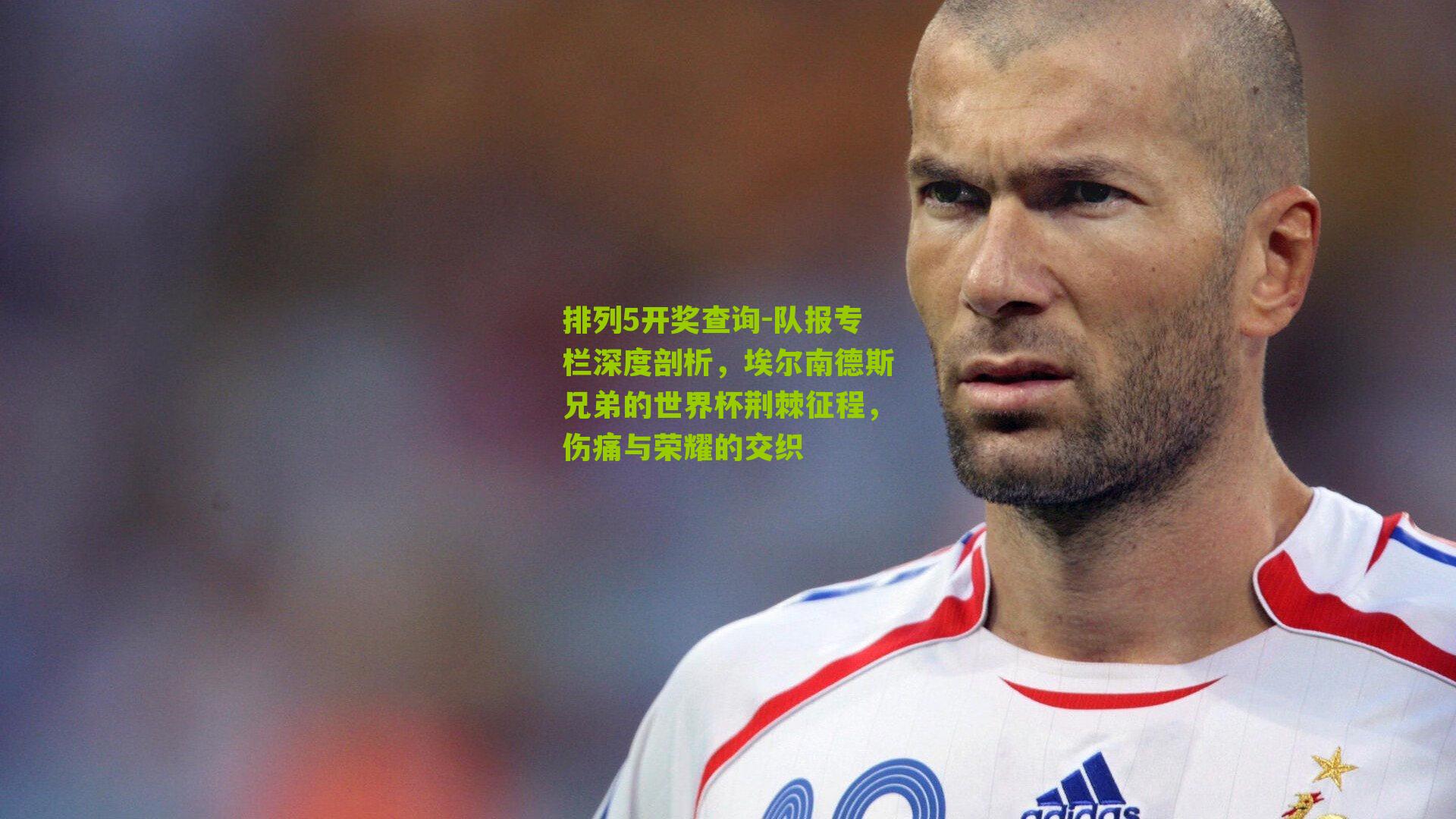 排列5开奖查询-队报专栏深度剖析，埃尔南德斯兄弟的世界杯荆棘征程，伤痛与荣耀的交织