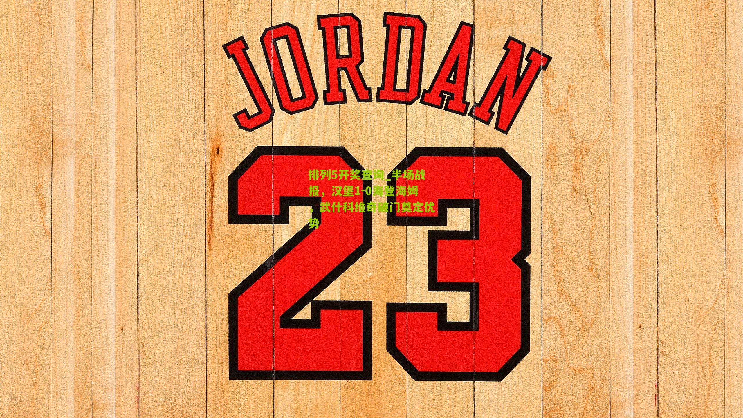 半场战报，汉堡1-0海登海姆，武什科维奇破门奠定优势